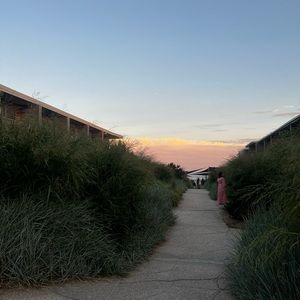 Meet your Posher, Penny